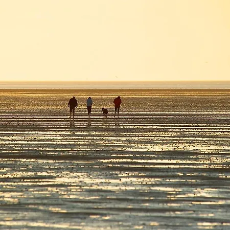 Appartement Boje 9 Mit Sauna